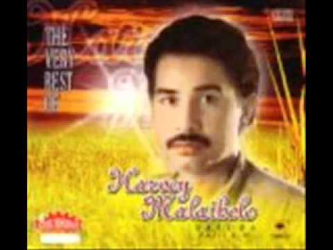 Harvey Malaiholo   Dia