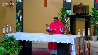 Twenty-first Sunday in Ordinary Time Update