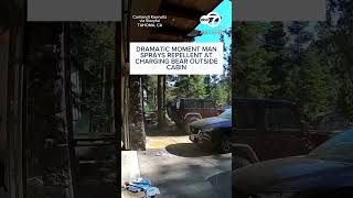 Dramatic moment man sprays repellent at charging bear outside cabin