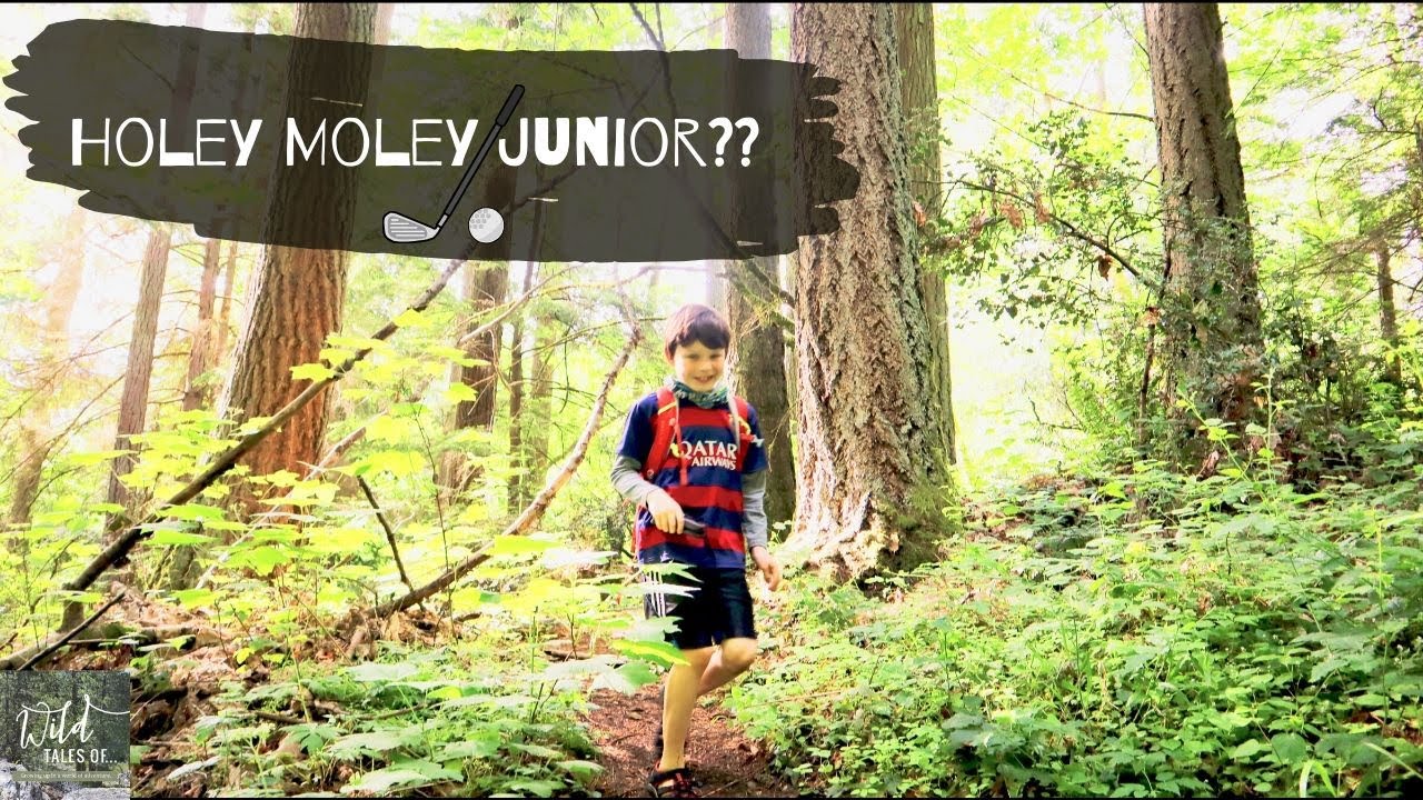 Let's Invent Holey Moley Junior! Seattle Area Kid Friendly Hike YouTube