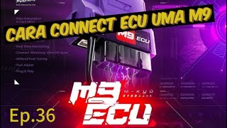 Ep.36 How to connect ecu uma m9 screenshot 4