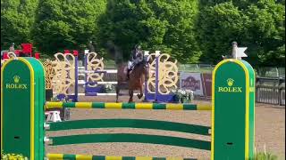 Z7 Pink Panther Royal Windsor Horse Show Foxhunter
