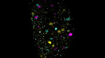 New tool to track heterogenerous breast cancer cells