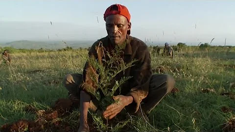 No Time to Lose: Turning the Paris Climate Agreement into Action