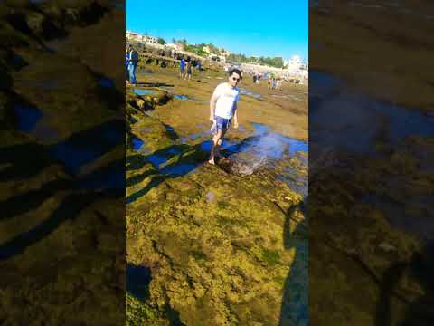 بلغوها سلامي