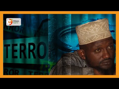 Freed terror suspect