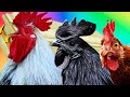 Funny Roosters - Coffin Dance Song *Part 2* (COVER)