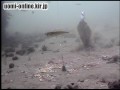 ヒラメ釣りにてアジの捕食シーン