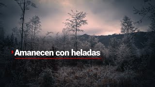 ¡No es Silent Hill, es Hidalgo | Al menos 10 municipios de Hidalgo amanecieron con fuertes heladas