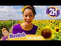 Meekah Visita uma Fazenda! | 2 HORAS DA MEEKAH! | Blippi em Português | Vídeos Educativos Infantis