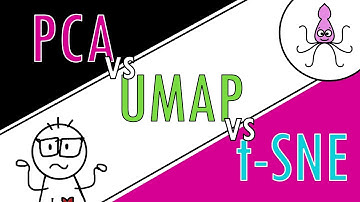 PCA vs UMAP vs t-SNE and when to use them
