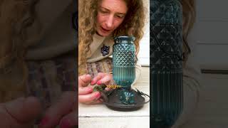 Woman Spends Four Hours Bringing Hu...