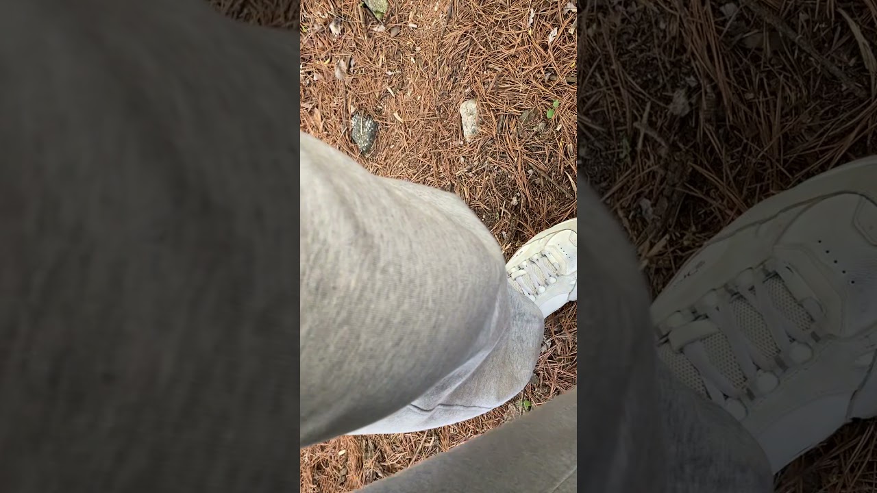 [Test video] Bird nest monitoring(dankook university)