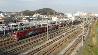 JR貨物・EH500形大船駅近辺（Japan Freight Railway）