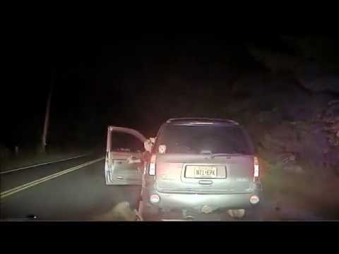 Deer, man get into roadside fight