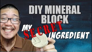 HOW TO MAKE MINERAL BLOCK OR CALCIUM BLOCK