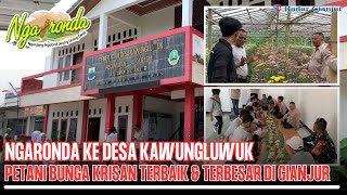 NGARONDA RADAR CIANJUR | Desa Kawungluwuk Penghasil Bunga Krisan Terbaik dan Terbesar di Cianjur