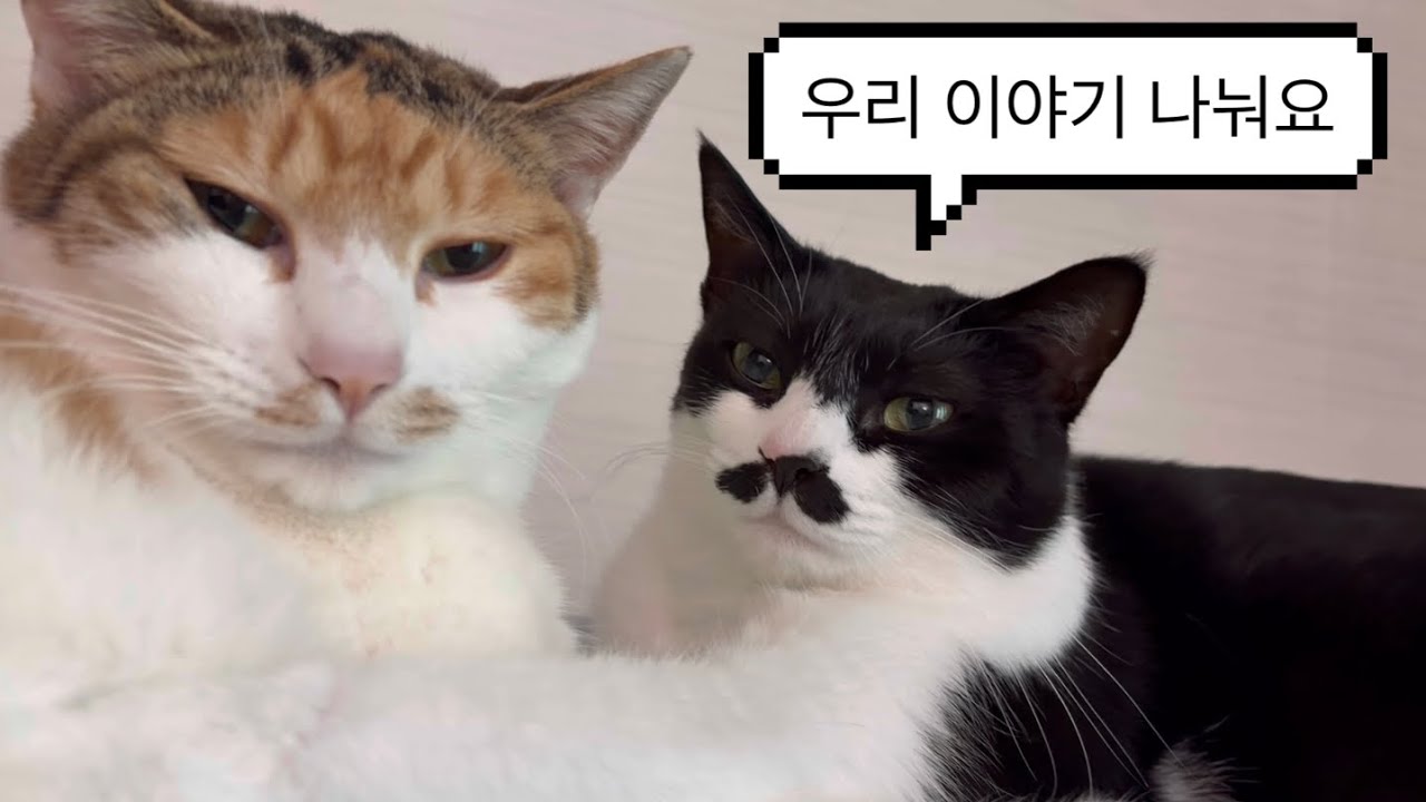 우리 이야기 나눠요