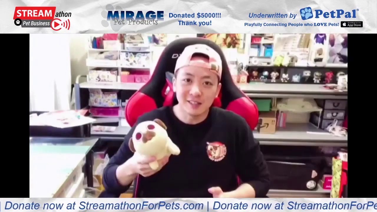 PugliePug on Streamathon for Pets