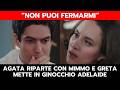 IL PARADISO DELLE SIGNORE: AGATA RIPARTE CON MIMMO E GRETA METTE IN GINOCCHIO ADELAIDE