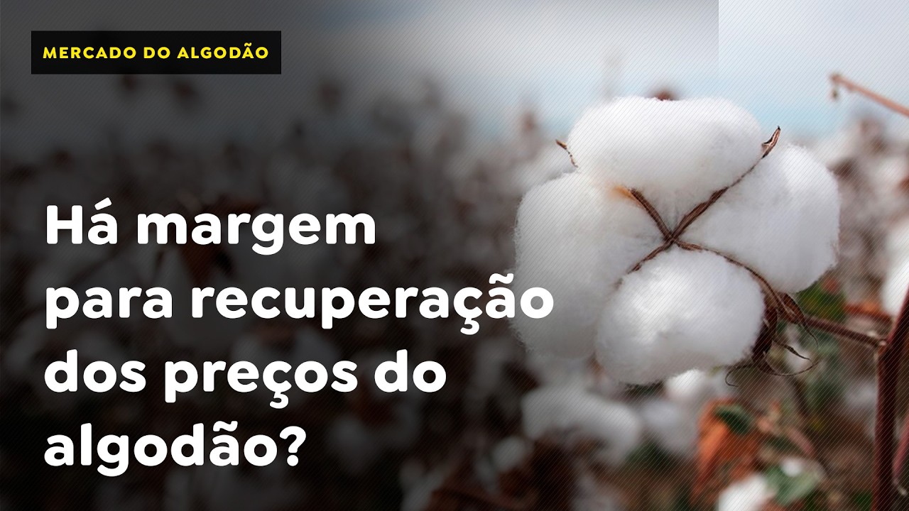 Há margem para recuperação dos preços do algodão?
