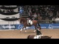 Danish warmblood young horse championship 2014  carl hester testing zalto