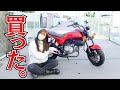 【エフモン】遂にCB-Fみたいなモンキー外装を購入！