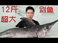 570买一条非常凶猛的剑鱼，嘴巴宛如长剑，能刺穿50厘米厚的船板！【小文哥吃吃吃】