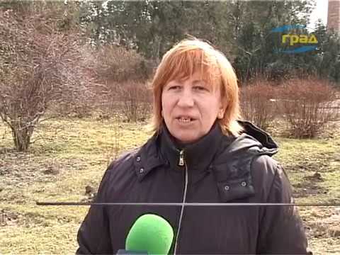 Ранняя весна в одесском ботаническом саду