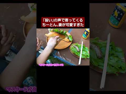 ちーとん妻は本当に食べるのが大好きです。というか趣味が食べることです(笑)