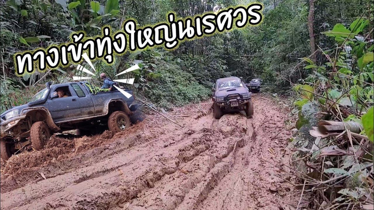 ทางเข้าทุ่งใหญ่นเรศวร# ไล่โว่#เกาะสะเดิ่ง