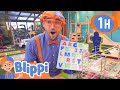 Blippi Visits an Indoor Playground (Whiz Kids) | BEST OF BLIPPI | Blippi Toys: Educational Videos