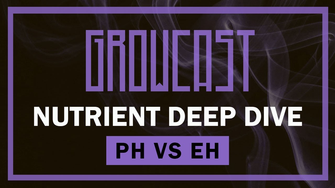 🧪PH против EH, поглощение питательных веществ и водород с Ником из корневого листа