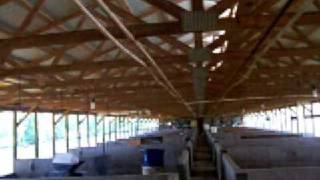 Master Bates Farms Building 12