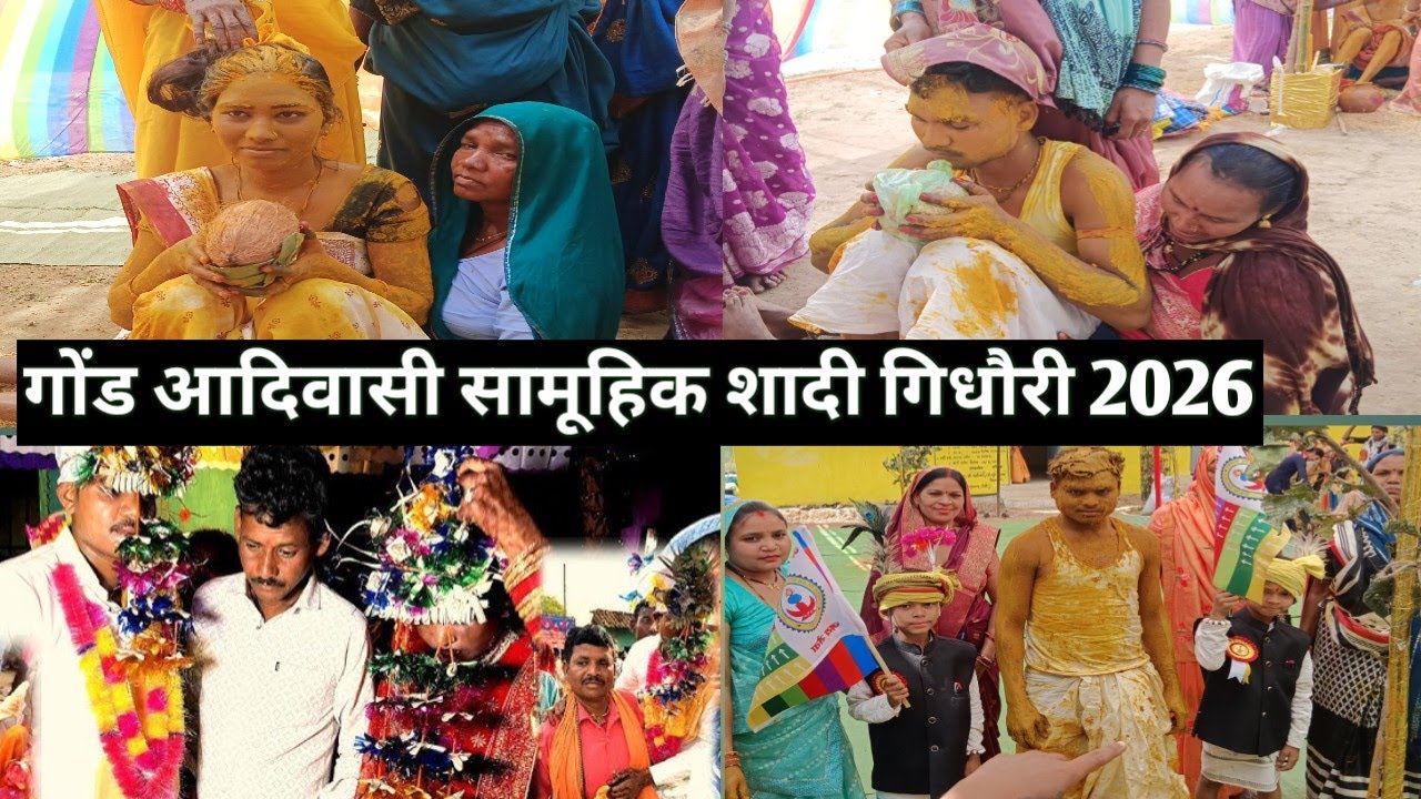 गोंडवाना सामूहिक विवाह कैसे होता हैं देखिए 2026 l tribal marriage  Gidhauri 2026 l  CG Adiwsshi ll