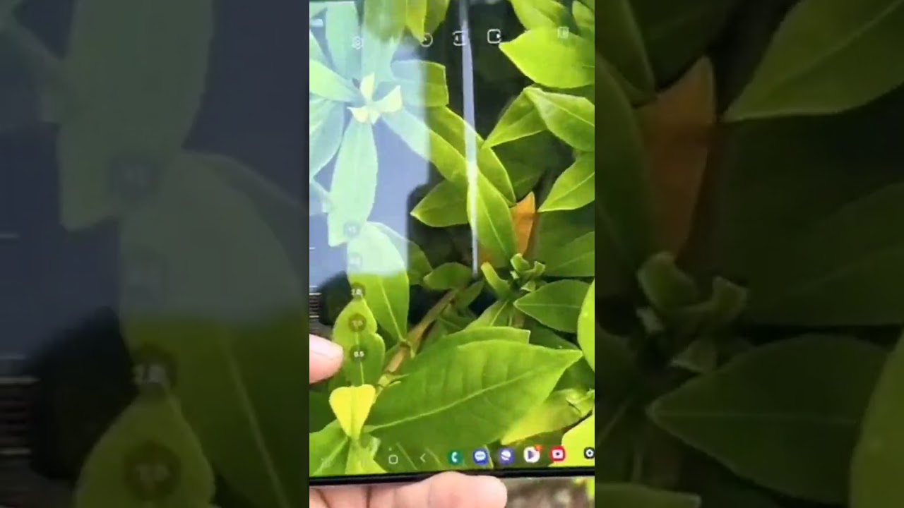 Samsung Galaxy Z Fold5 Camera is the same as on the S23 Ultra. But the inner screen makes difference
