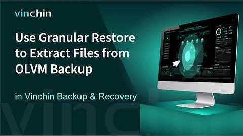 Use Granular Restore  to Extract Files from OLVM Backup in Vinchin Backup & Recovery?