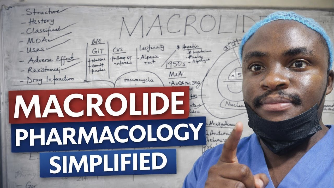 MACROLIDE PHARMACOLOGY SIMPLIFIED || RAPID REVIEW 