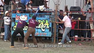 BUEN AGARRON DE TOROS Y JINETES EN TOMENDAN, MICH.