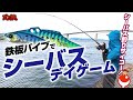 鉄板バイブで友達にシーバスの釣りの楽しさを教えてみた！Let's seabass fishing…