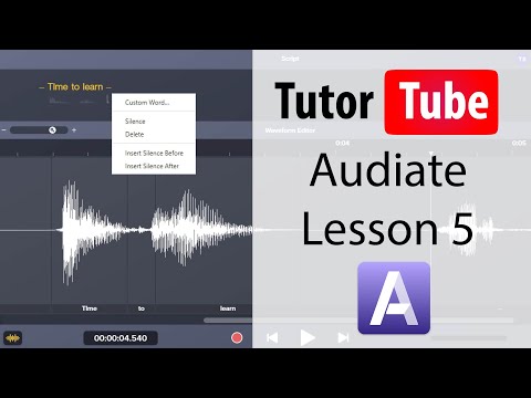 Audiate Tutorial - Lesson 5 - Working with Waveform Editor