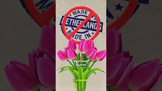 5 Random Facts About Netherlands