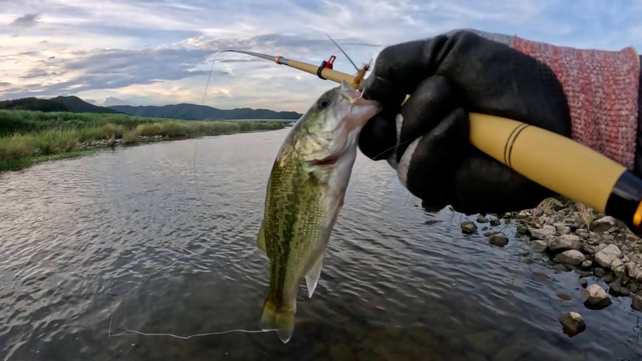 2024.07.26. Friday Angler's Diary in Gyeongju Korea – Tenkara Bass Fishing 경주 형산강 텐카라 배스낚시