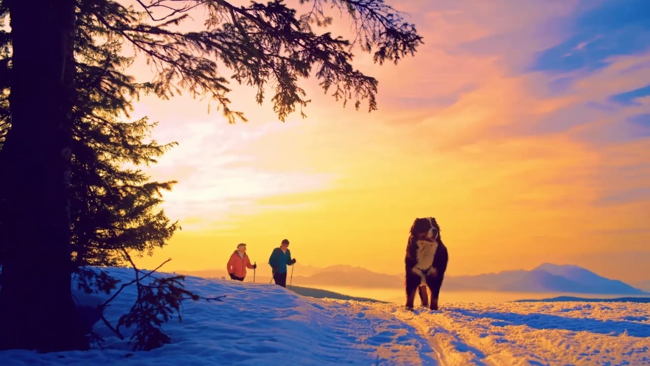 Celtic Mountain Calm | Peaceful Music for Inner Light & Serenity