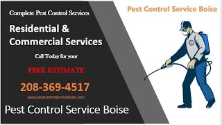 Pest Control in Boise