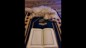 سورة فاطر آية ٣, Surah Fatir verset 3