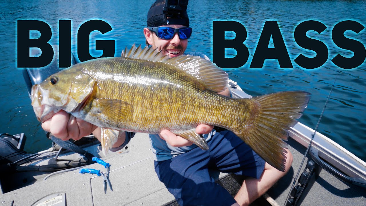 SMALLMOUTH BASS FISHING!!! (HOW TO CATCH THEM SPAWNING) YouTube