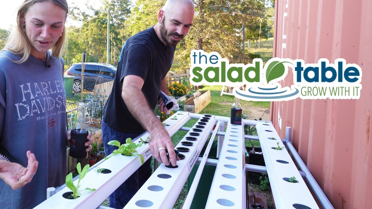 Hydroponic System Kit for Renters! The Salad Table. YouTube