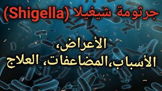 جرثومة شيغيلا (Shigella) : الأعراض، الأسباب،المضاعفات، العلاج