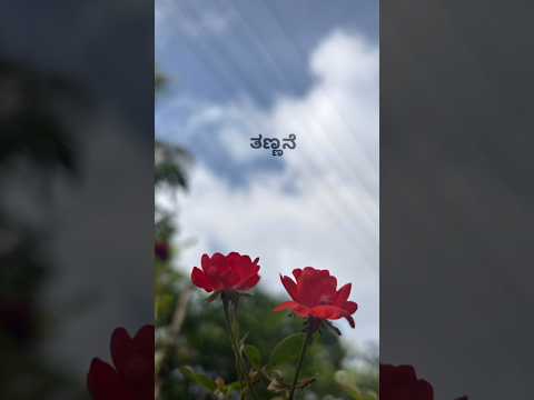 ನೋಡುತ ನನ್ನನೆ....✨⚡😊 #reels #love#youtubeshorts #lovesong #shorts #lines